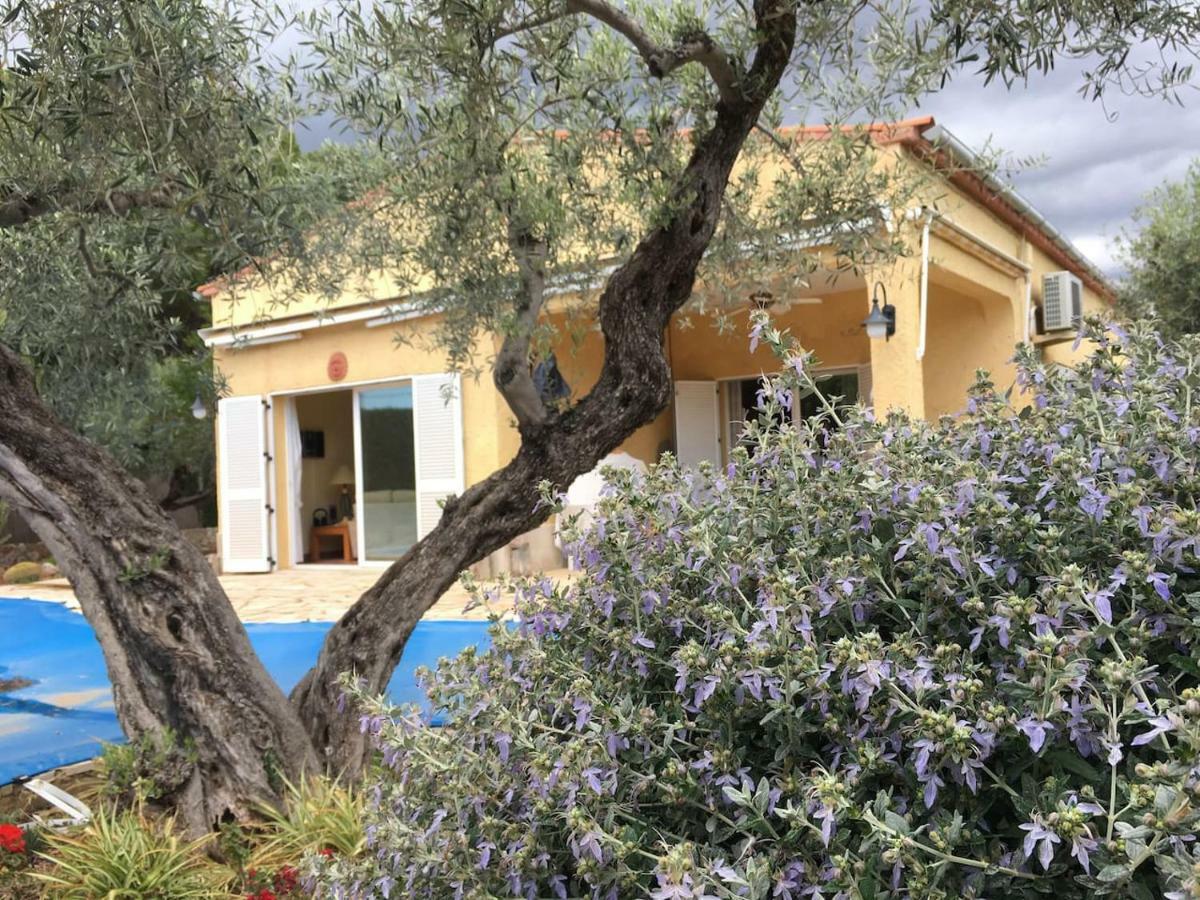 La Inopia Villa L'Ampolla Exterior photo